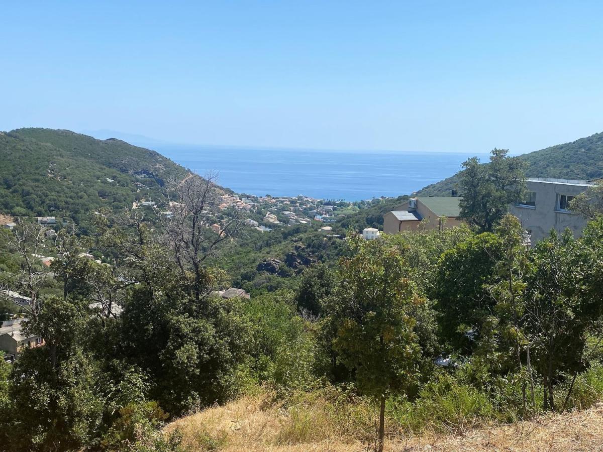 U Cavallu - Luxe Entre Mer Et Montagne Santa-Maria-di-Lota Esterno foto