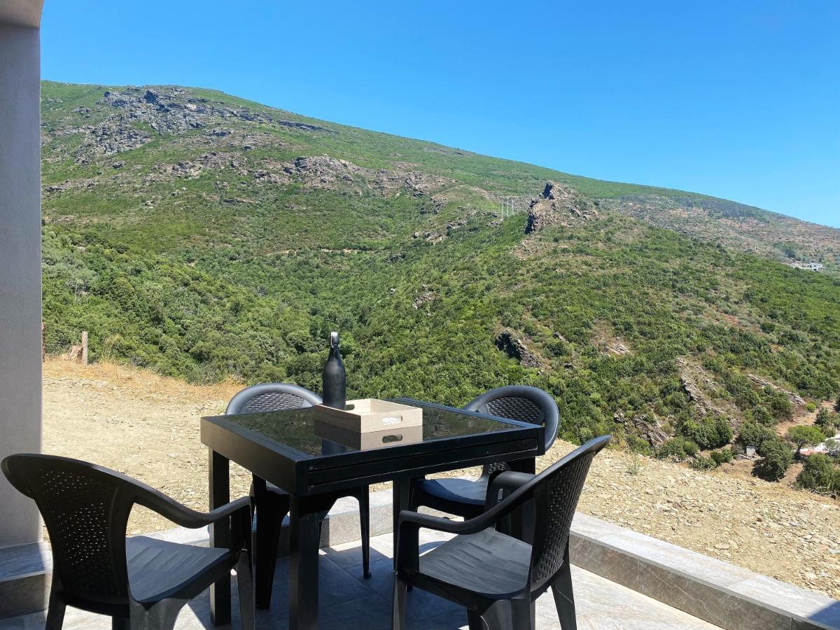 U Cavallu - Luxe Entre Mer Et Montagne Santa-Maria-di-Lota Esterno foto